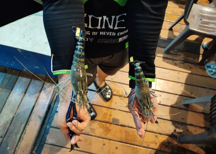 ATC Fishing Village | Where to go prawning in Singapore with the kids