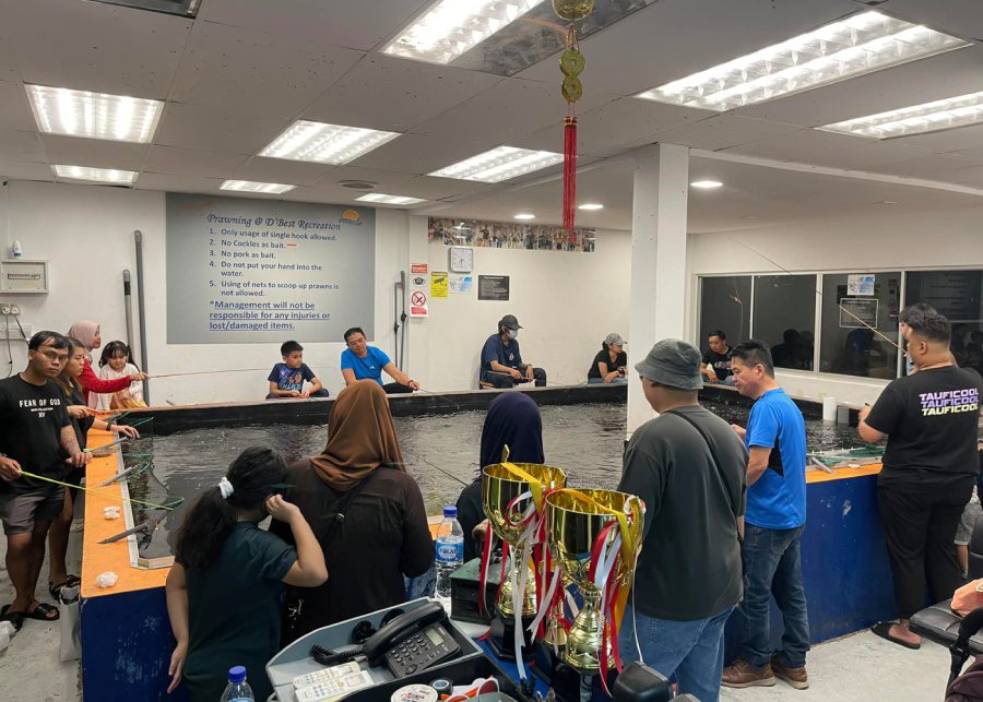 D'Best Fishing | Where to go prawning in Singapore with the kids