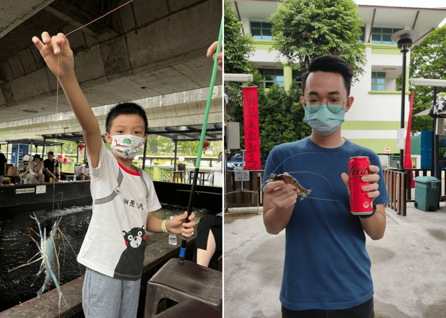 Fish at AMK | Where to go prawning in Singapore with the kids