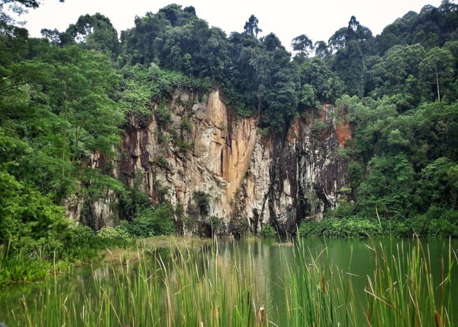 Bukit Timah Nature Reserve in Singapore