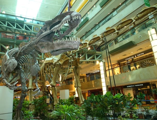 Science exhibitions in Singapore: Dinosaurize me