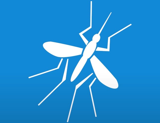 Dengue fever in Singapore: the symptoms, the recovery, and how to protect your family