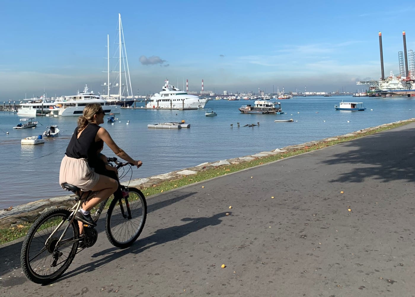 west coast park cycling
