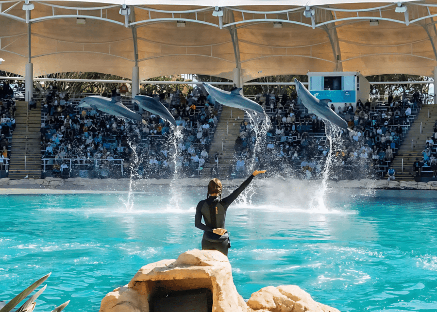 Sea World Gold Coast