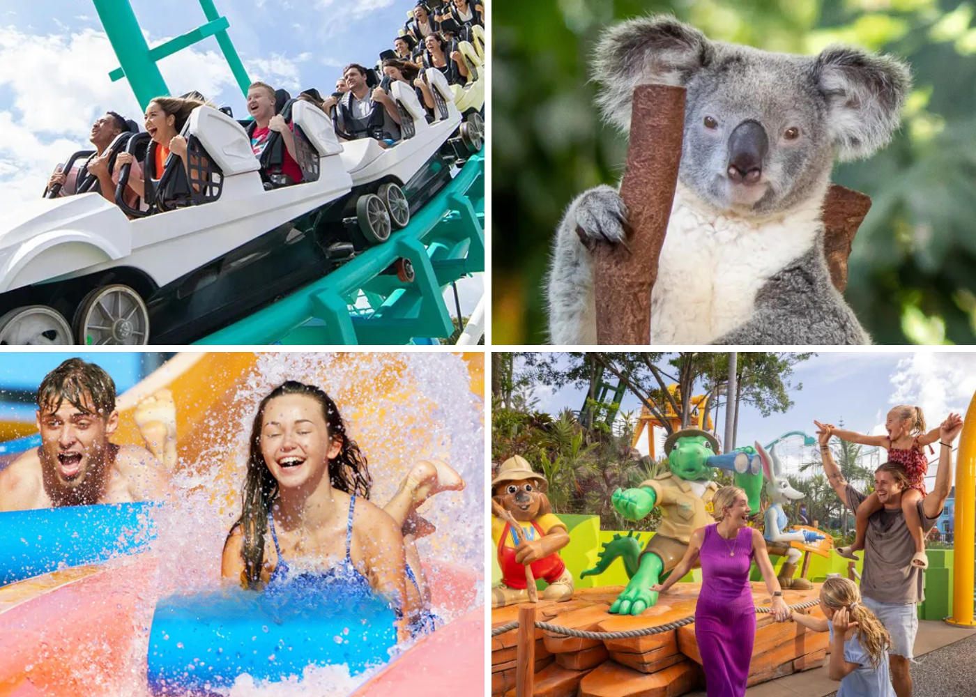 Best theme parks & attractions in Gold Coast, Australia: Guide to Dreamworld, Sea World, Movie World, Wet’n’Wild and Australia Zoo