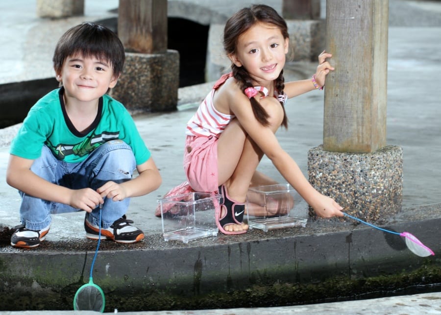 Longkang fishing at Qian Hu Fish Farm, Singapore