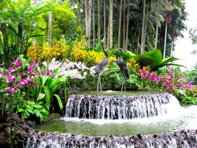 National Orchid Garden Singapore Botanical Gardens honeykids asia prettiest parks