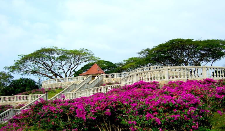 telok blangah hill park honeykids asia prettiest parks