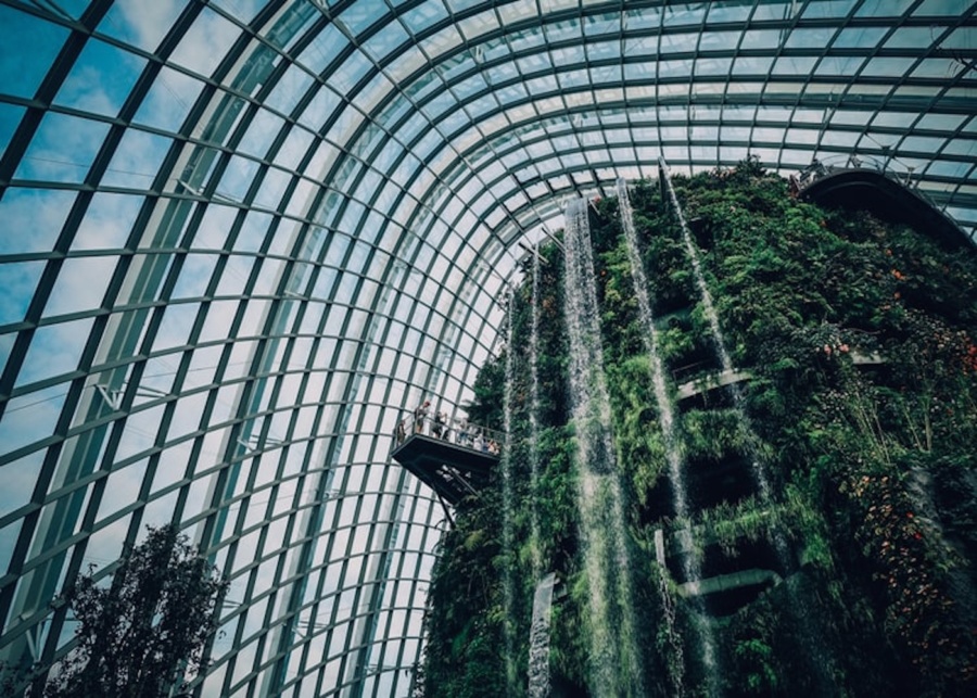 cloud forest guide to gardens by the bay