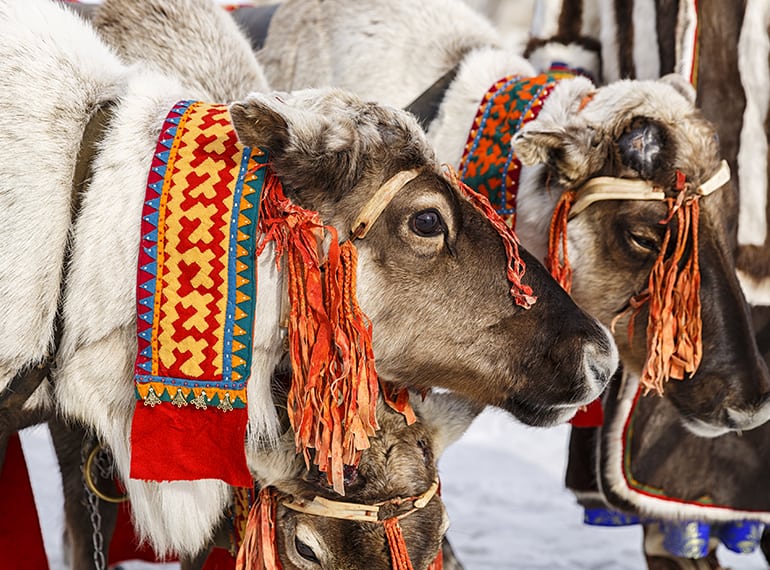 Get away for a cool Yule: Fam-friendly Christmas holiday destinations from Singapore!