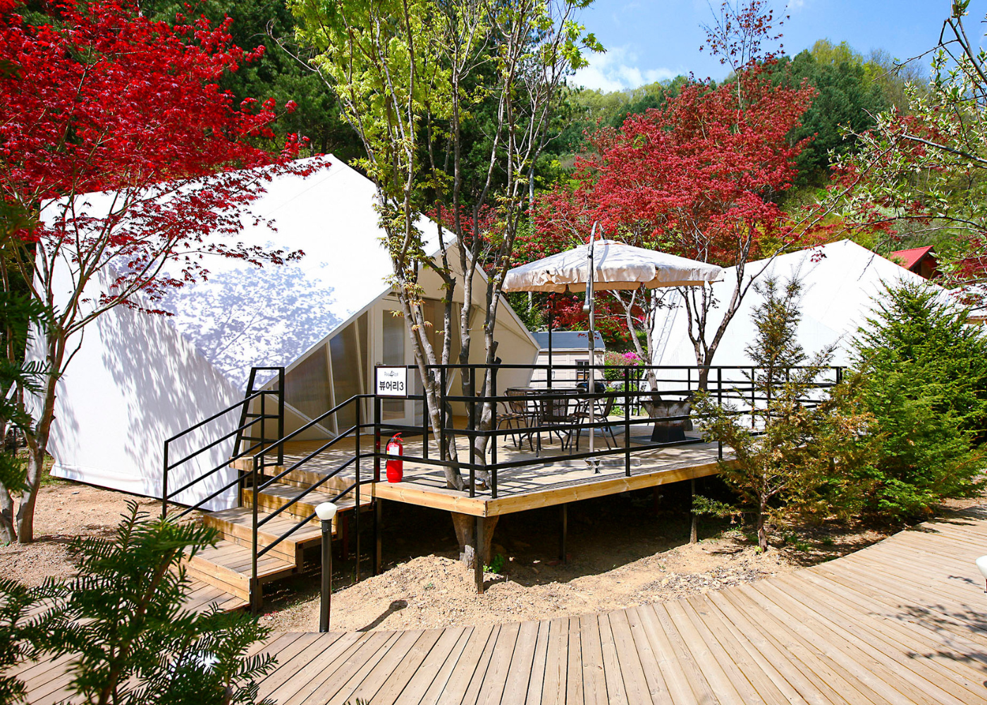Pine 4 Rest | Glamping in Asia