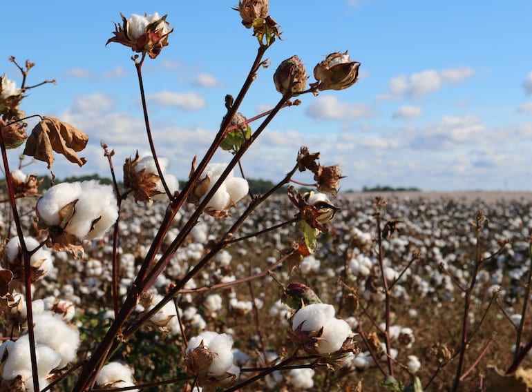Eco-friendly-alternatives-to-baby-wipes