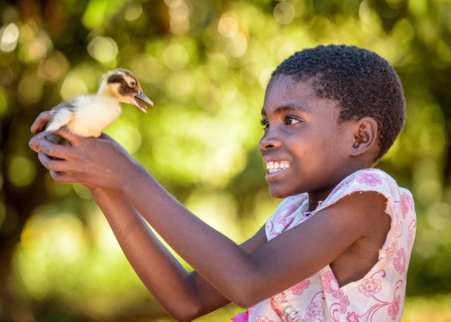 world-vision