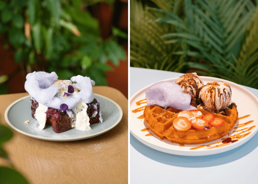 Dewgather | Buona Vista