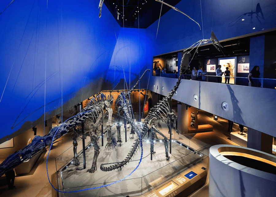 Lee Kong Chian Natural History Museum