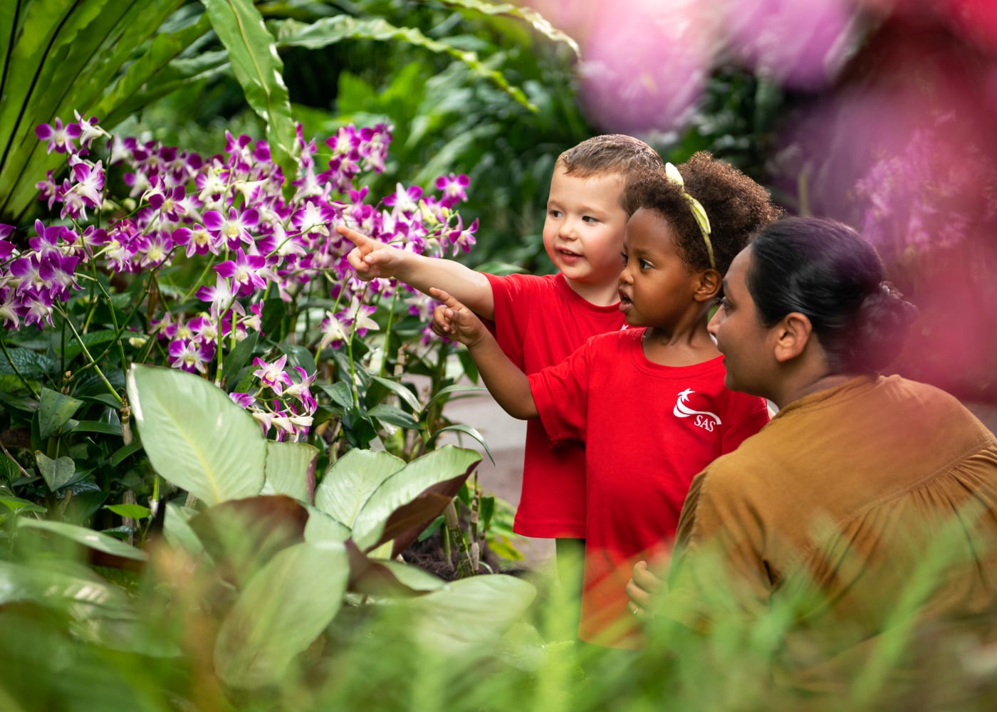 outdoor learning myths SAS