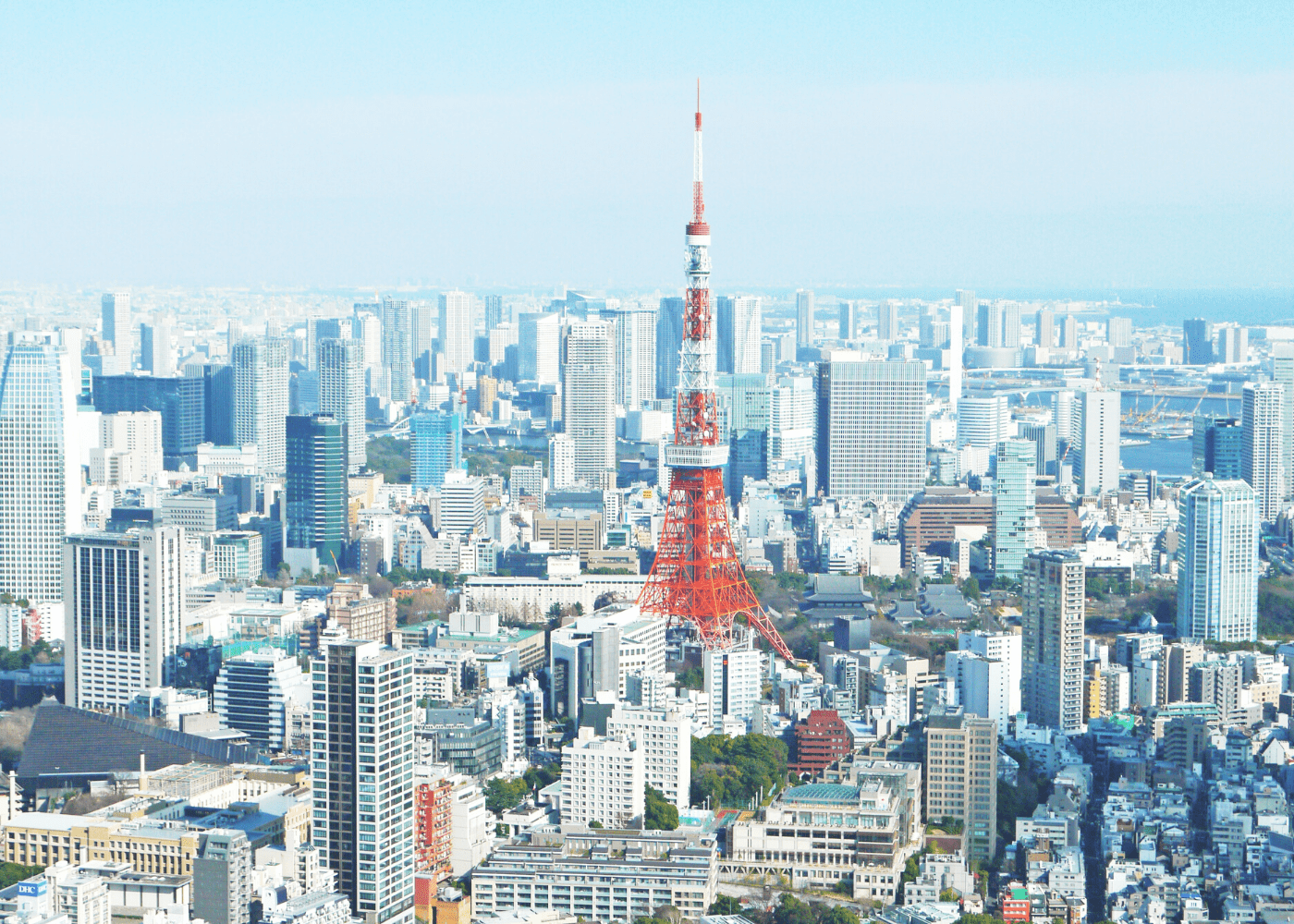 jaison lin family-friendly guide to tokyo