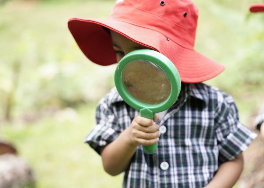 tanglin trust school forest school infant
