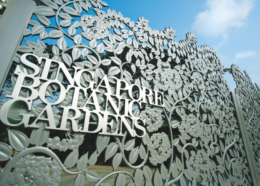 things-to-do-with-kids-bukit-timah-botanic-gardens