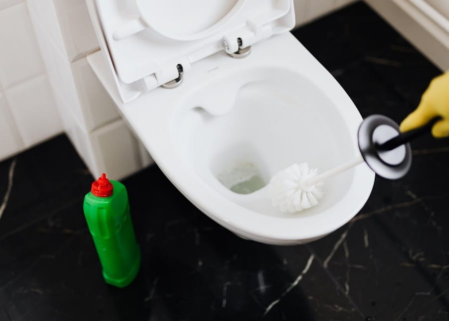 cleaning the toilet | life skills