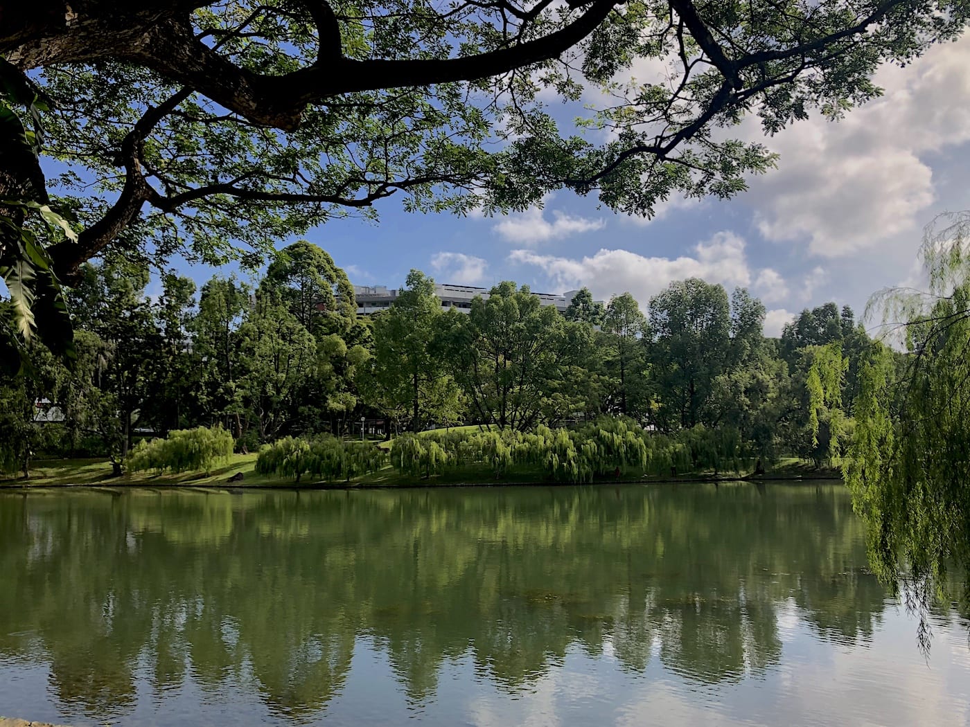 The HoneyKids guide to Bishan-Ang Mo Kio Park: things to do with kids
