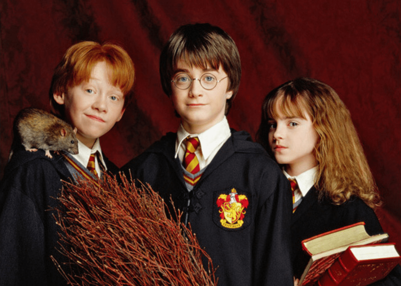 Harry Potter | movie marathons with the kids