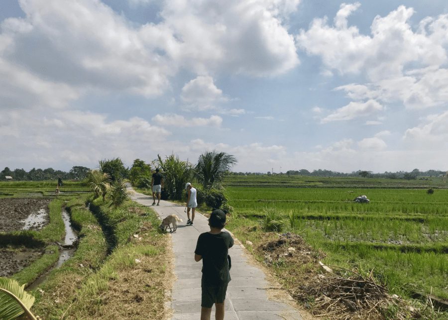 lockdown in bali