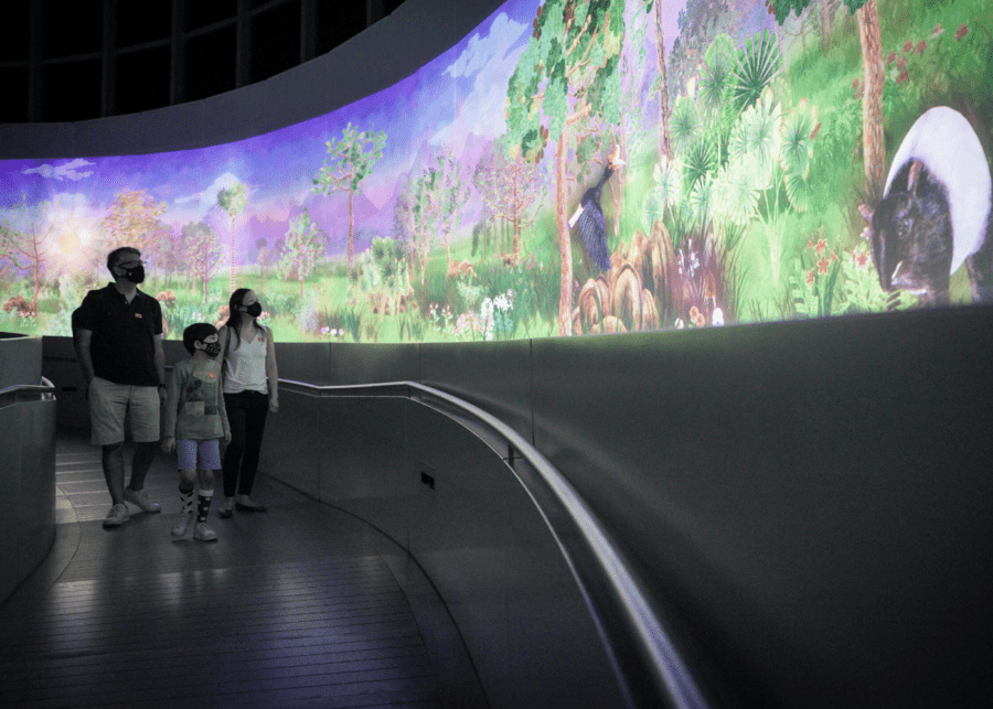 story of the forest Brian Teo National Museum of Singapore