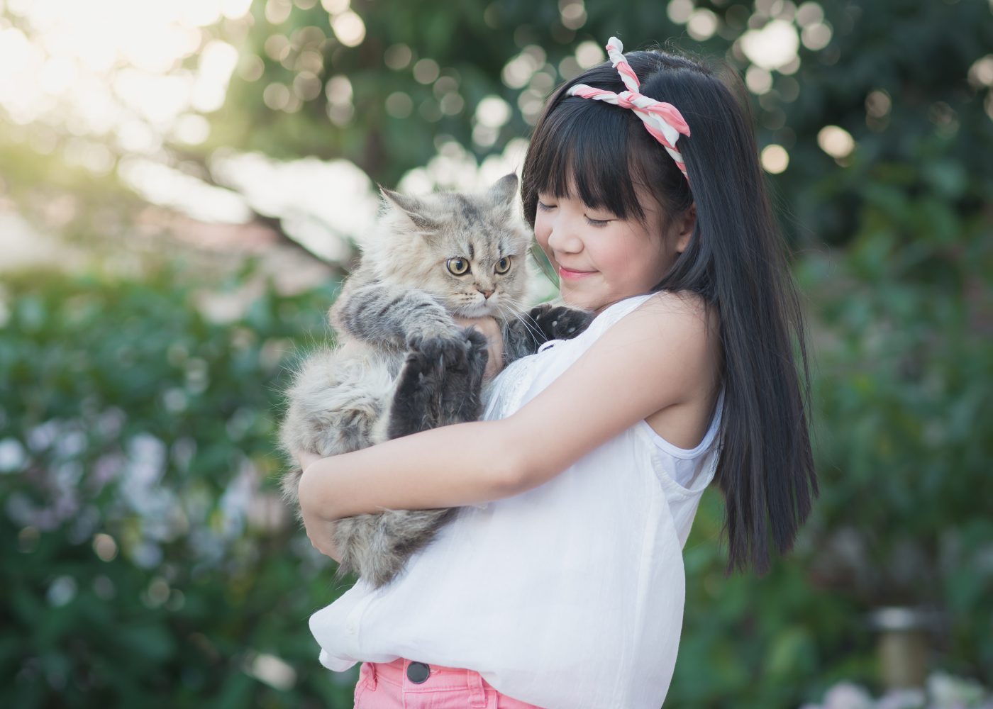 Guide to owning an animal in Singapore: Is your family ready for a pet?