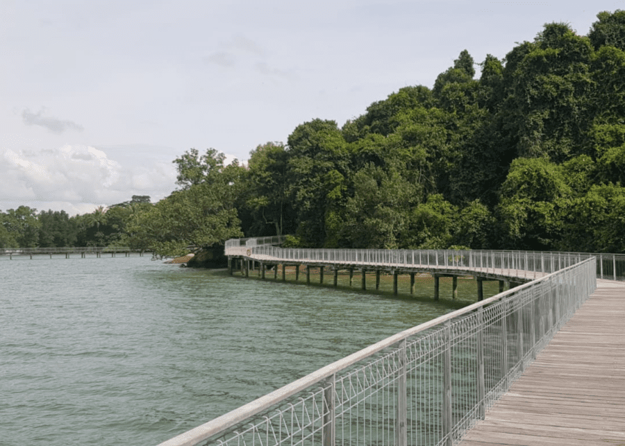 pulau ubin boardwalk