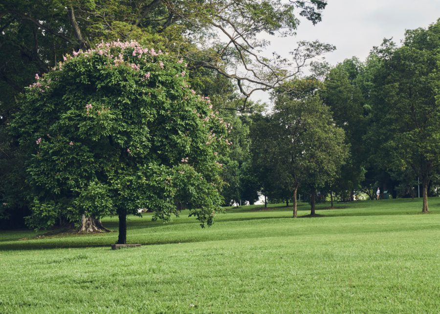 Sembawang Park haunted places in Singapore