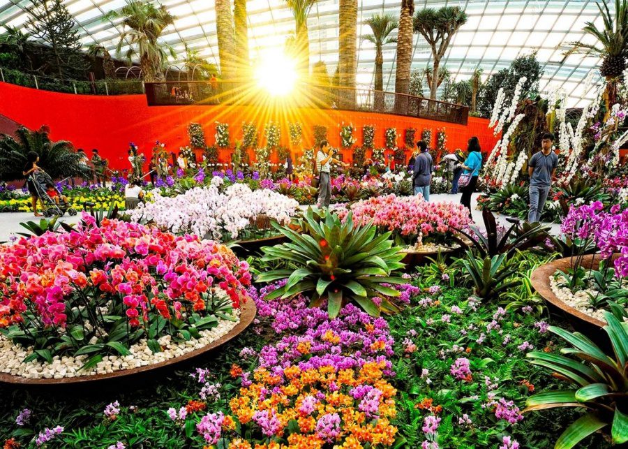 flower dome cold places in singapore
