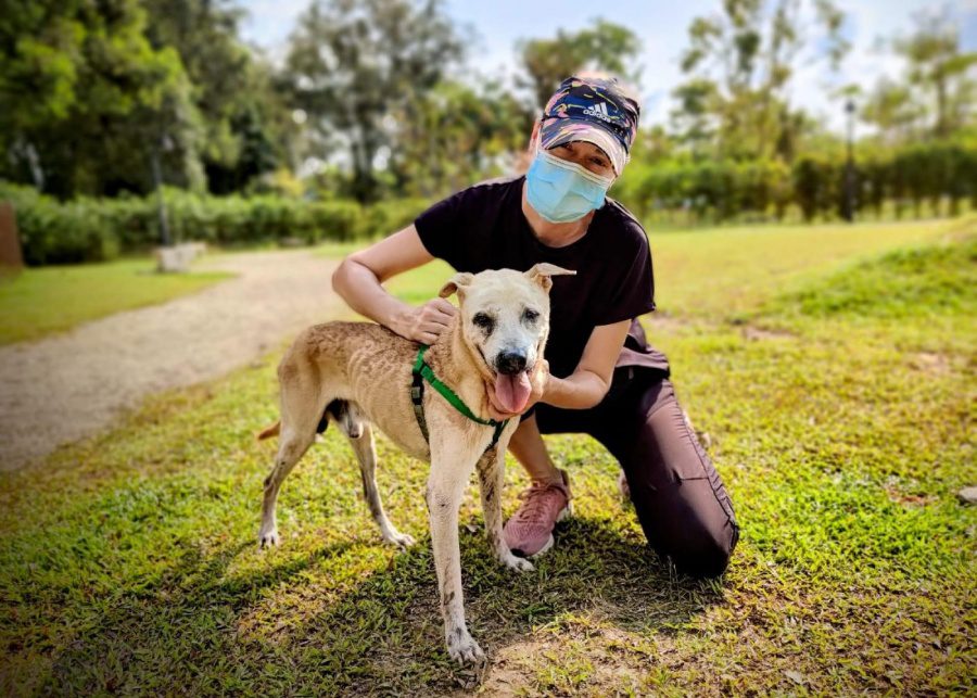 OSCAS charities to donate to in Singapore