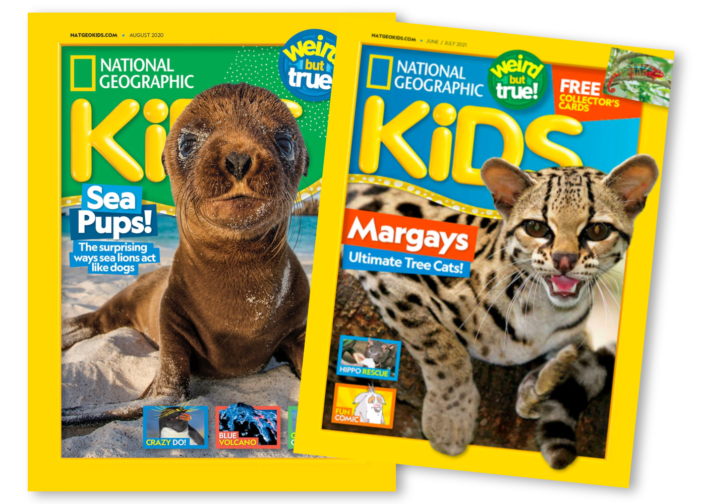 National Geographic Kids | kids magazines
