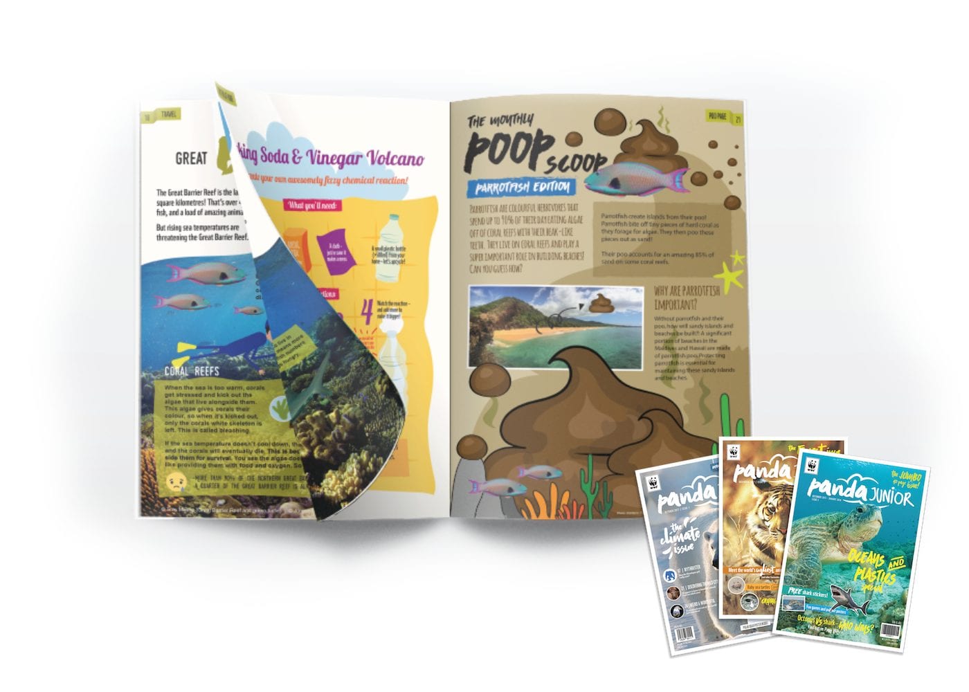 Panda Junior | kids magazines