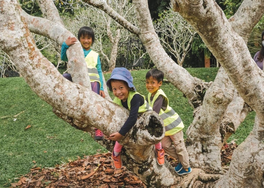 kids tree house explorers forest school singapore