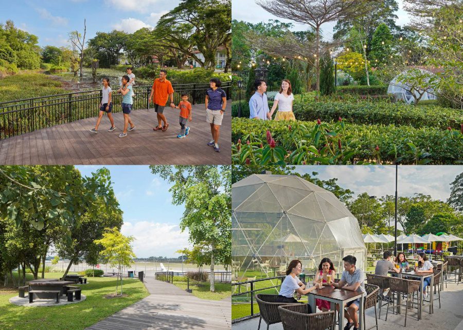 things-to-do-in-seletar-singapore-with-family