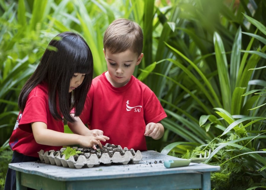 8 simple ways to kickstart a healthy lifestyle for toddlers singapore american school honeykids asia