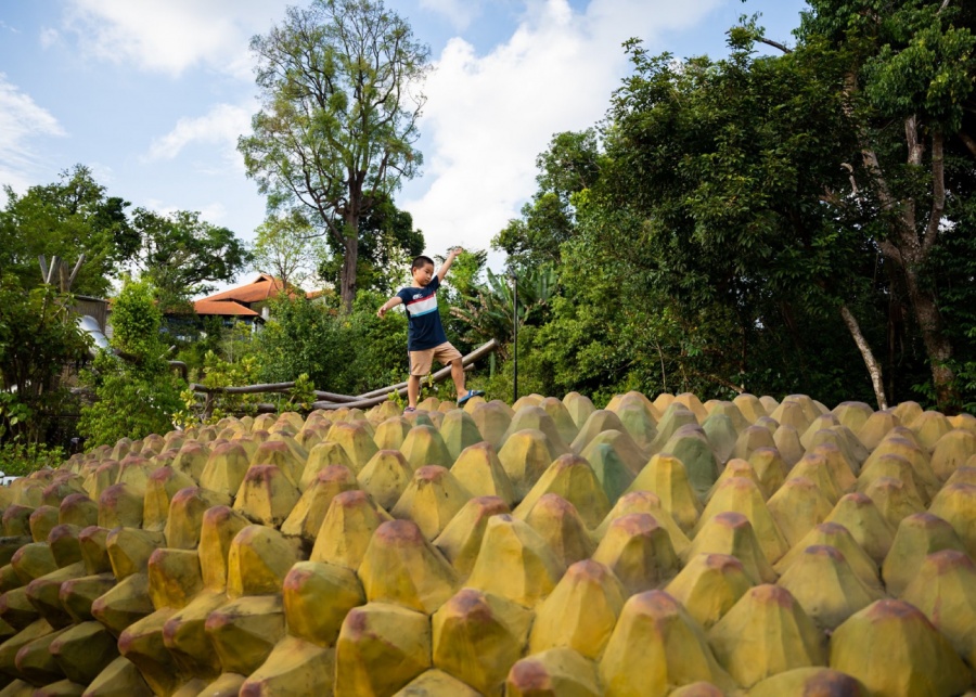 Giant Jackfruit COMO Adventure Grove gallop extension Singapore Botanic Gardens