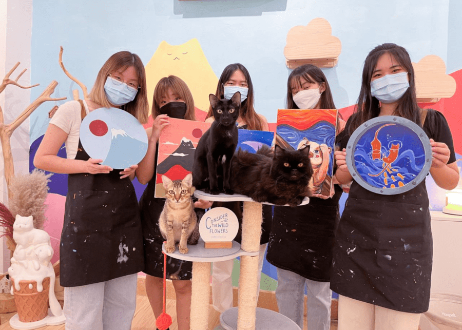 Wildflower Studio | Cat and dog cafes in Singapore