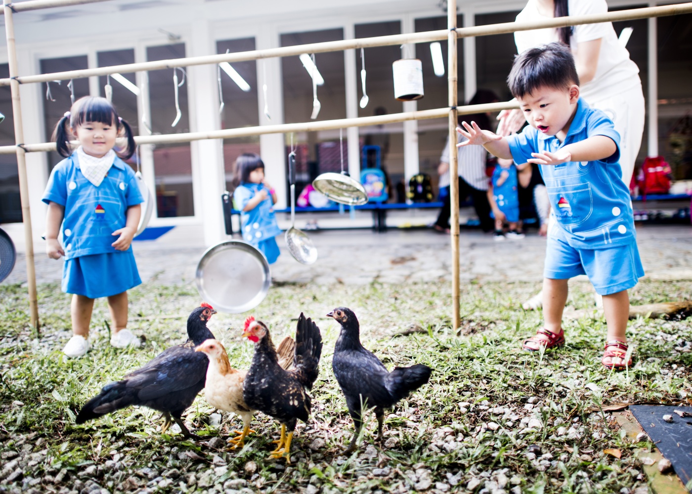Children’s Cove Preschool