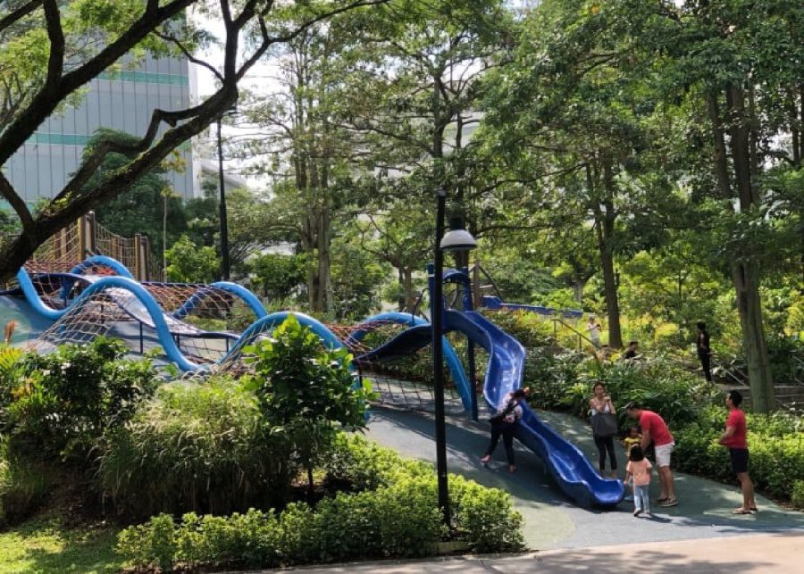 Blue slides at Admiralty Park