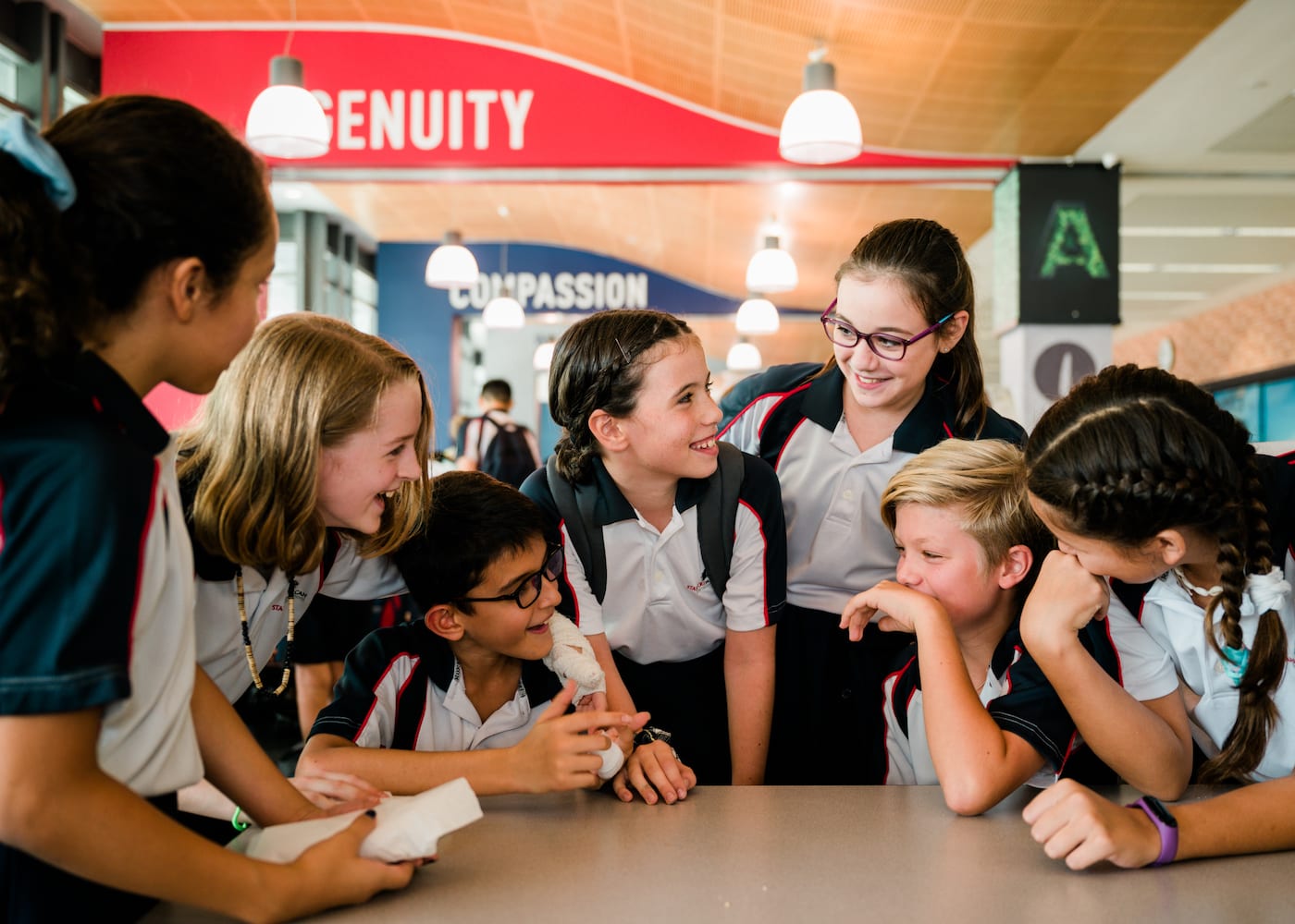Stamford American International School