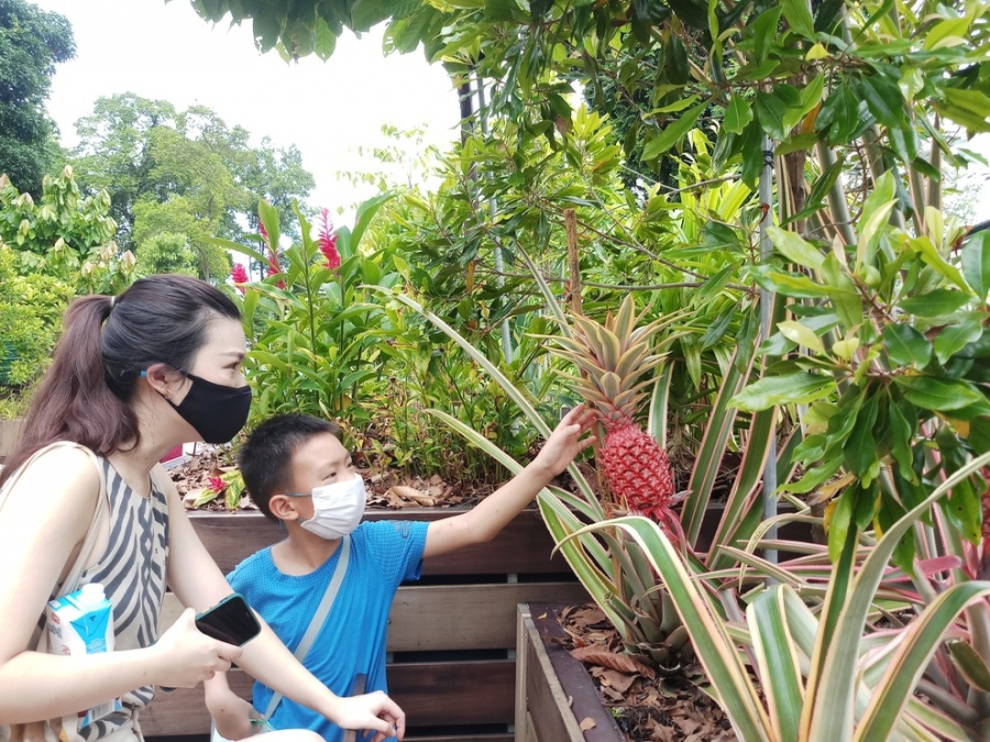 Fort Canning Park what's on this weekend in Singapore
