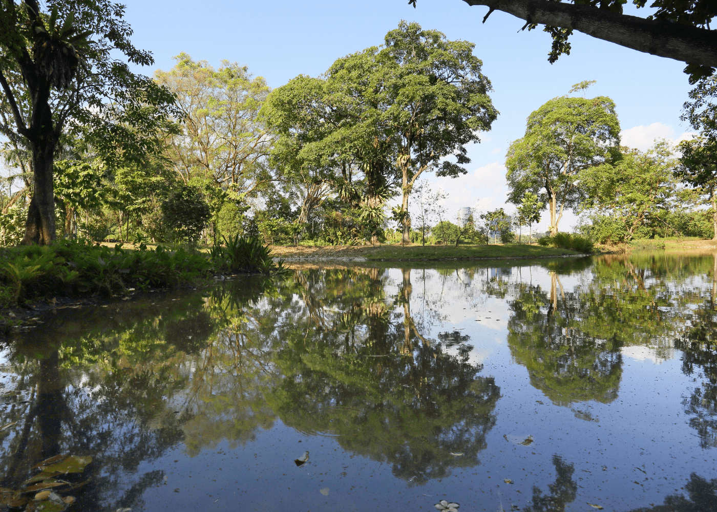 Your family-friendly guide to Jurong Lake Gardens with kids: what to do, where to play and what to see