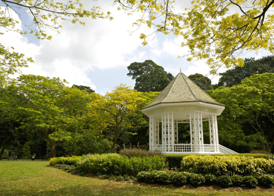 Singapore Botanic Gardens