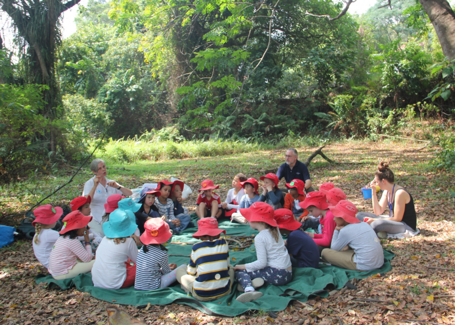 Tanglin Trust Forest