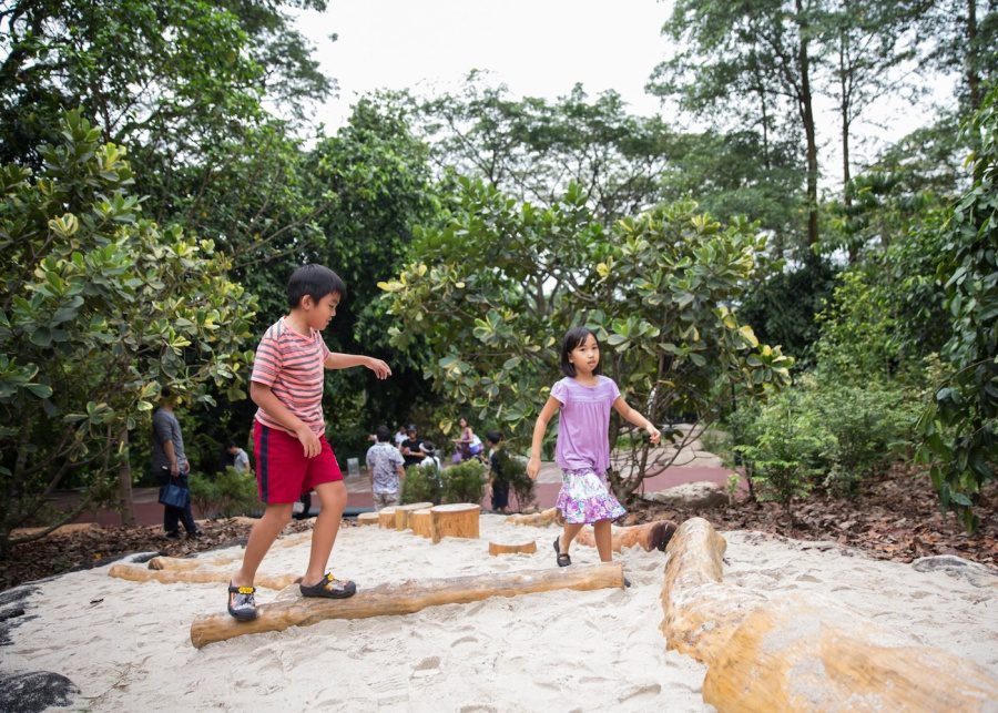 singapore botanic gardens jacob ballas childrens garden