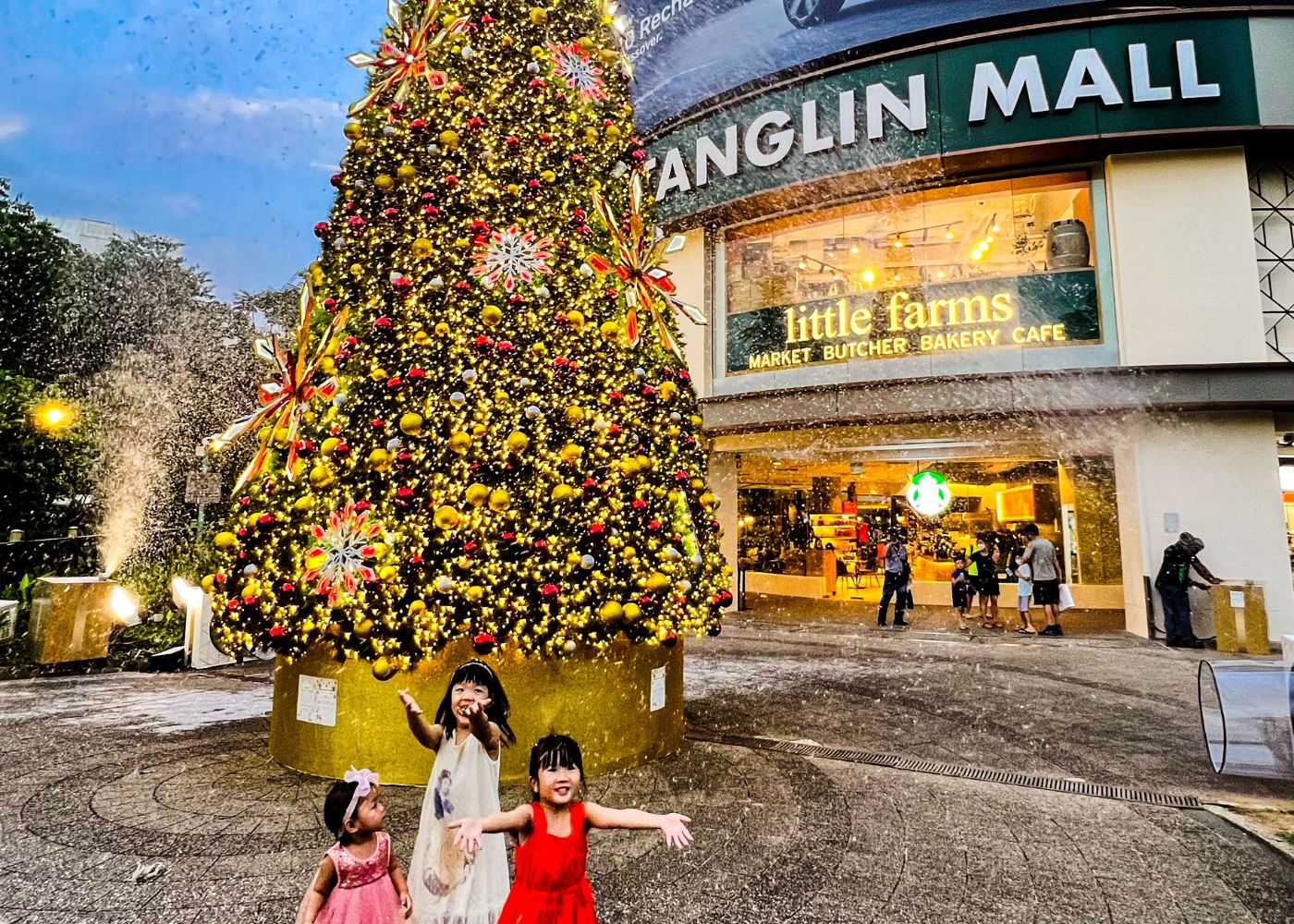 tanglin mall snow avalanche