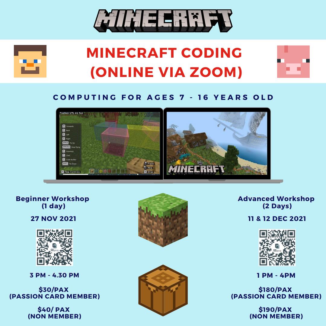 Minecraft coding workshop (online)